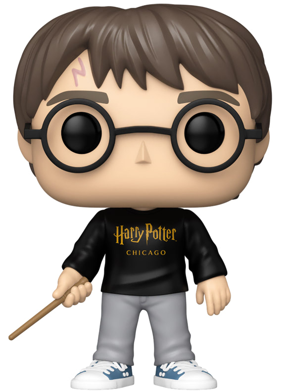 #198 Harry Potter (Chicago Sweater)