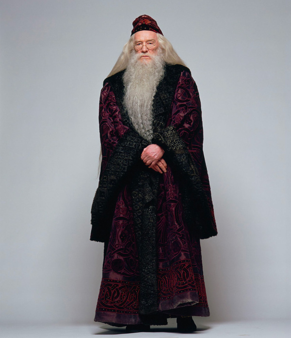 Portrait Of Albus Dumbledore — Harry Potter Fan Zone