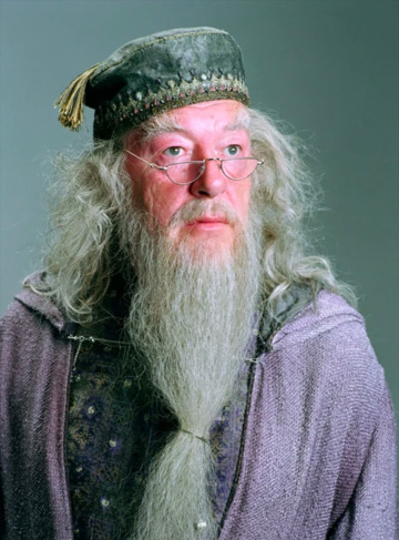 Portrait of Albus Dumbledore — Harry Potter Fan Zone