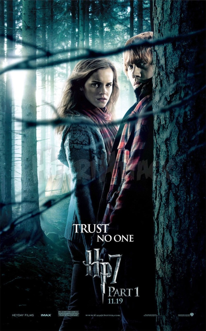 ‘Deathly Hallows: Part 1’ Hermione & Ron poster — Harry Potter Fan Zone