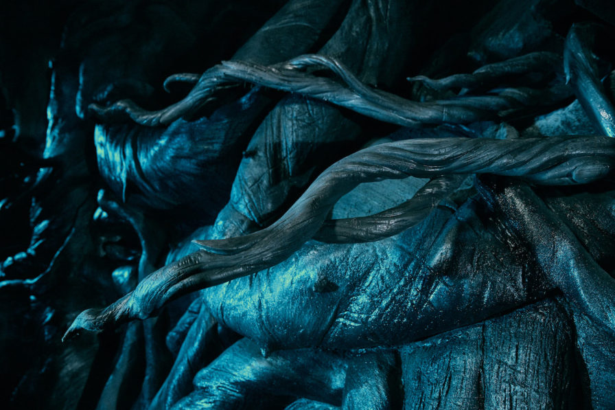 Devil’s Snare (Hagrid’s Magical Creatures Motorbike Adventure) — Harry