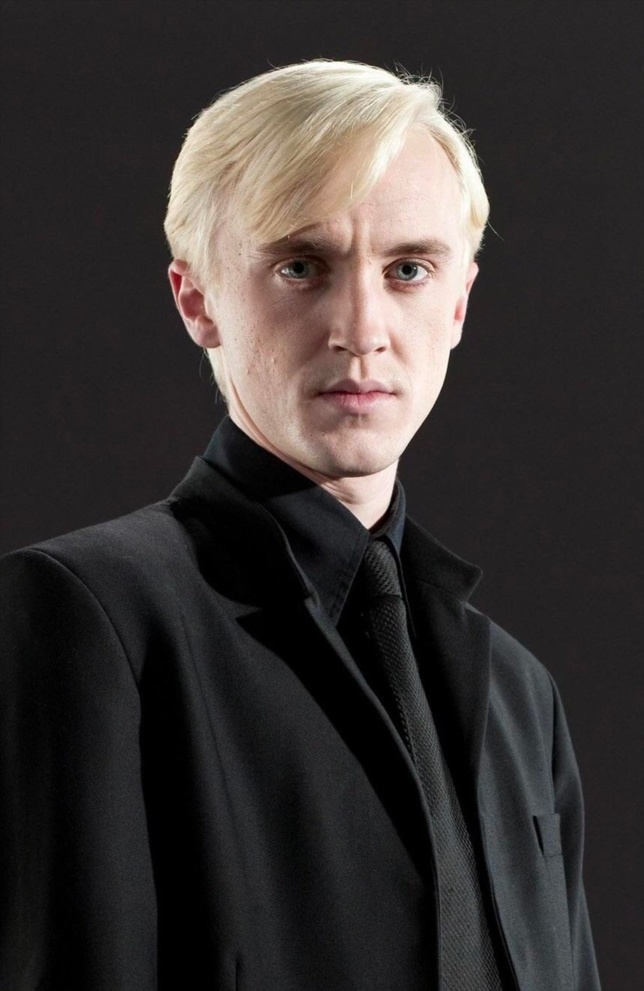 Portrait Of Draco Malfoy Harry Potter Fan Zone