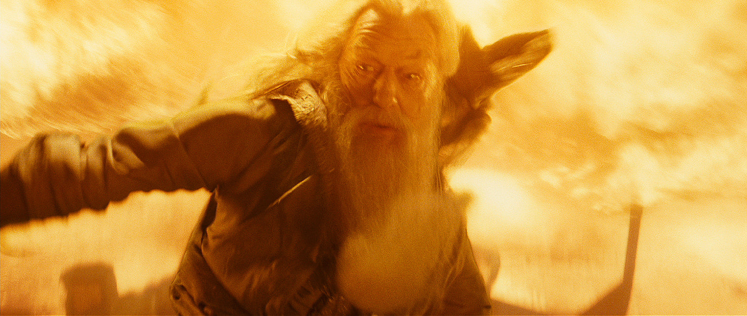 Dumbledore conjures a firestorm