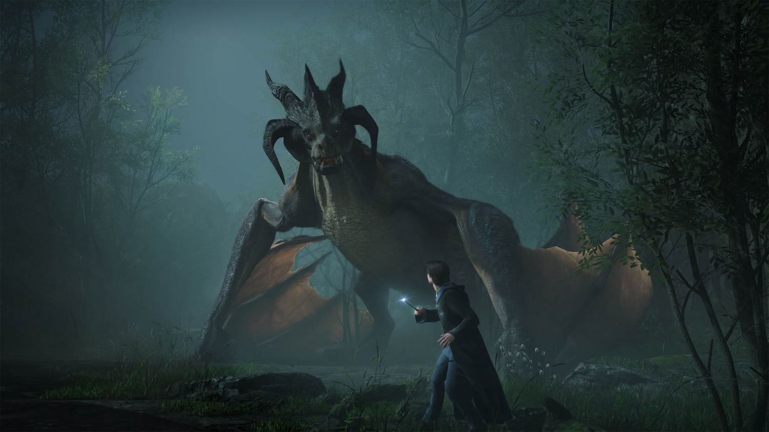 Encountering a dragon (Hogwarts Legacy)