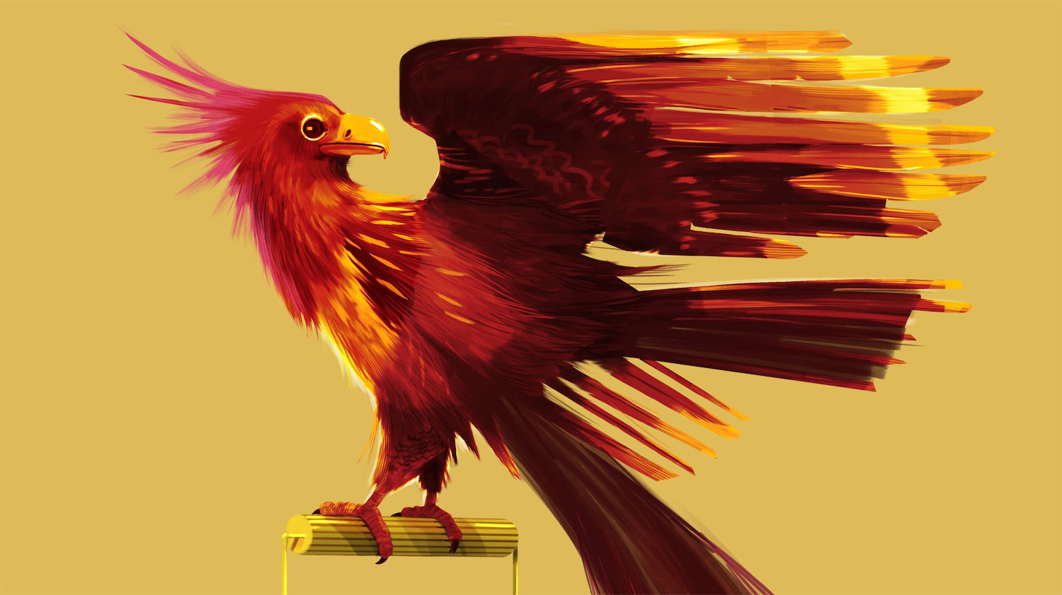 Fawkes (Studio La Plage illustration)