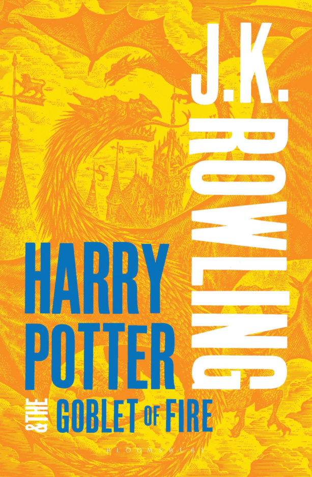 ‘Goblet of Fire’ adult edition (2013)