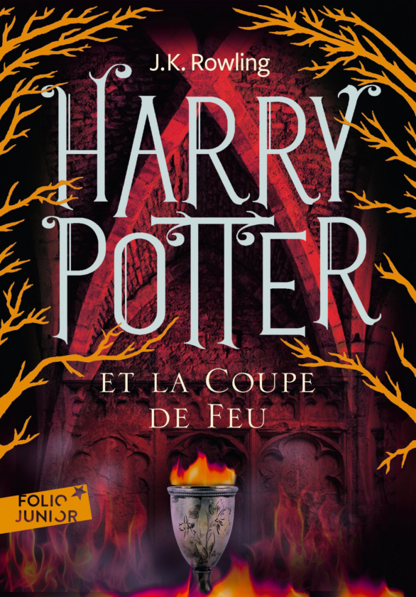 ‘Goblet of Fire’ French adult edition