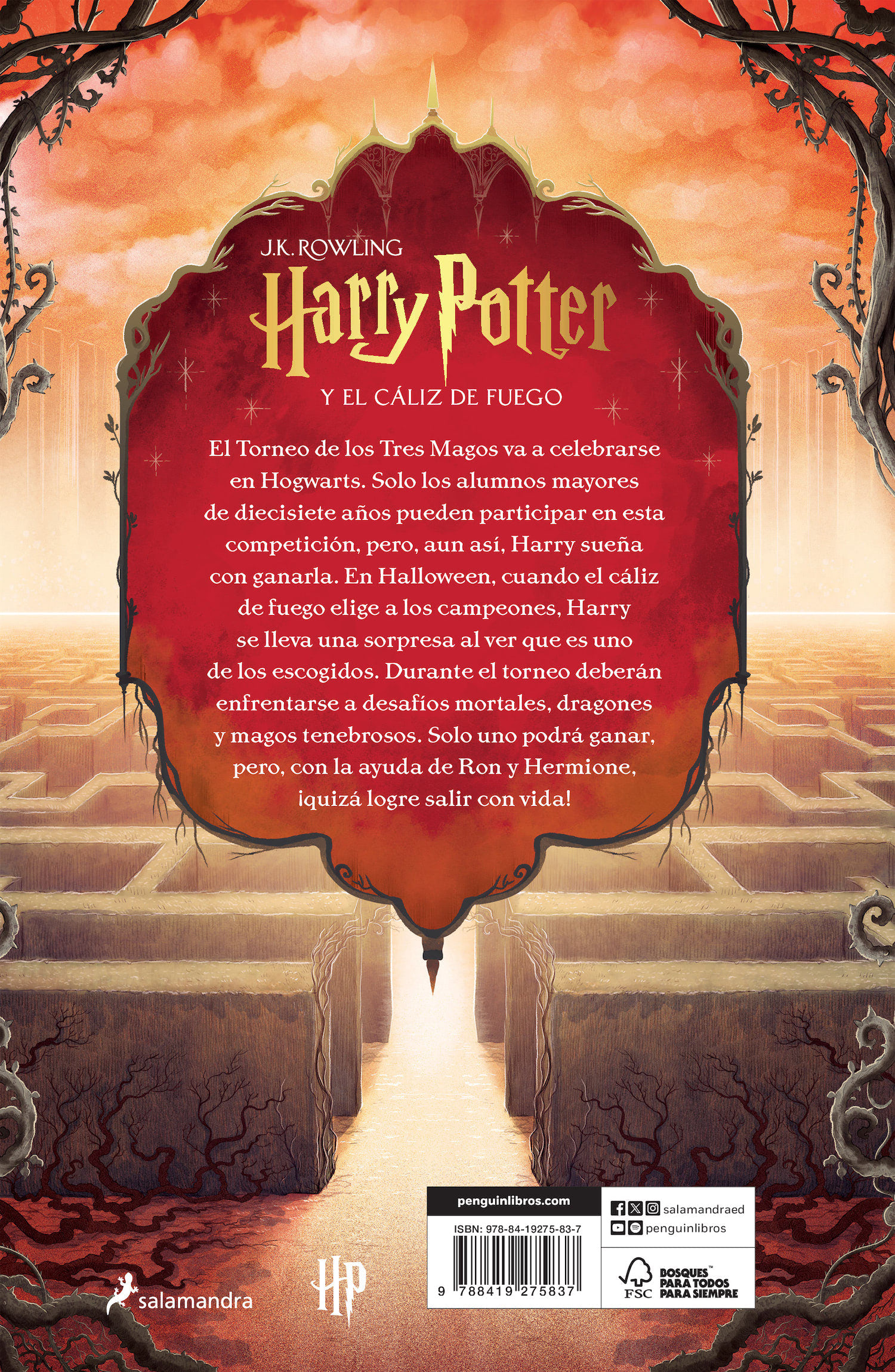 ‘Goblet of Fire’ Spanish illustrated edition (back cover)
