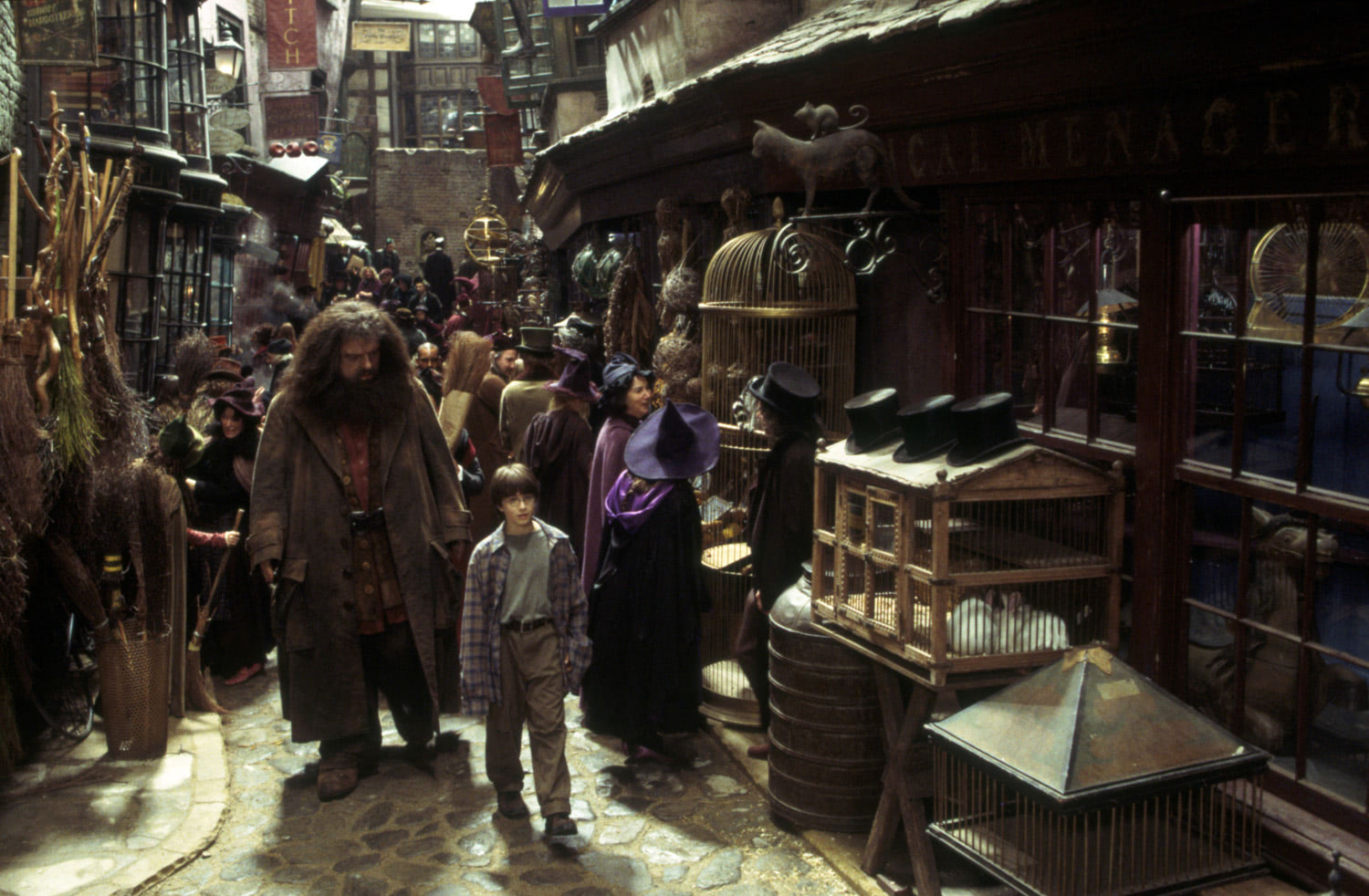 Hagrid and Harry in Diagon Alley