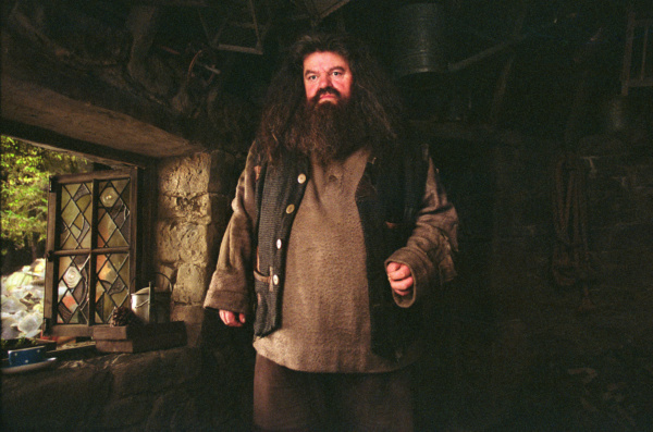 Hagrid In His Cabin — Harry Potter Fan Zone 5351