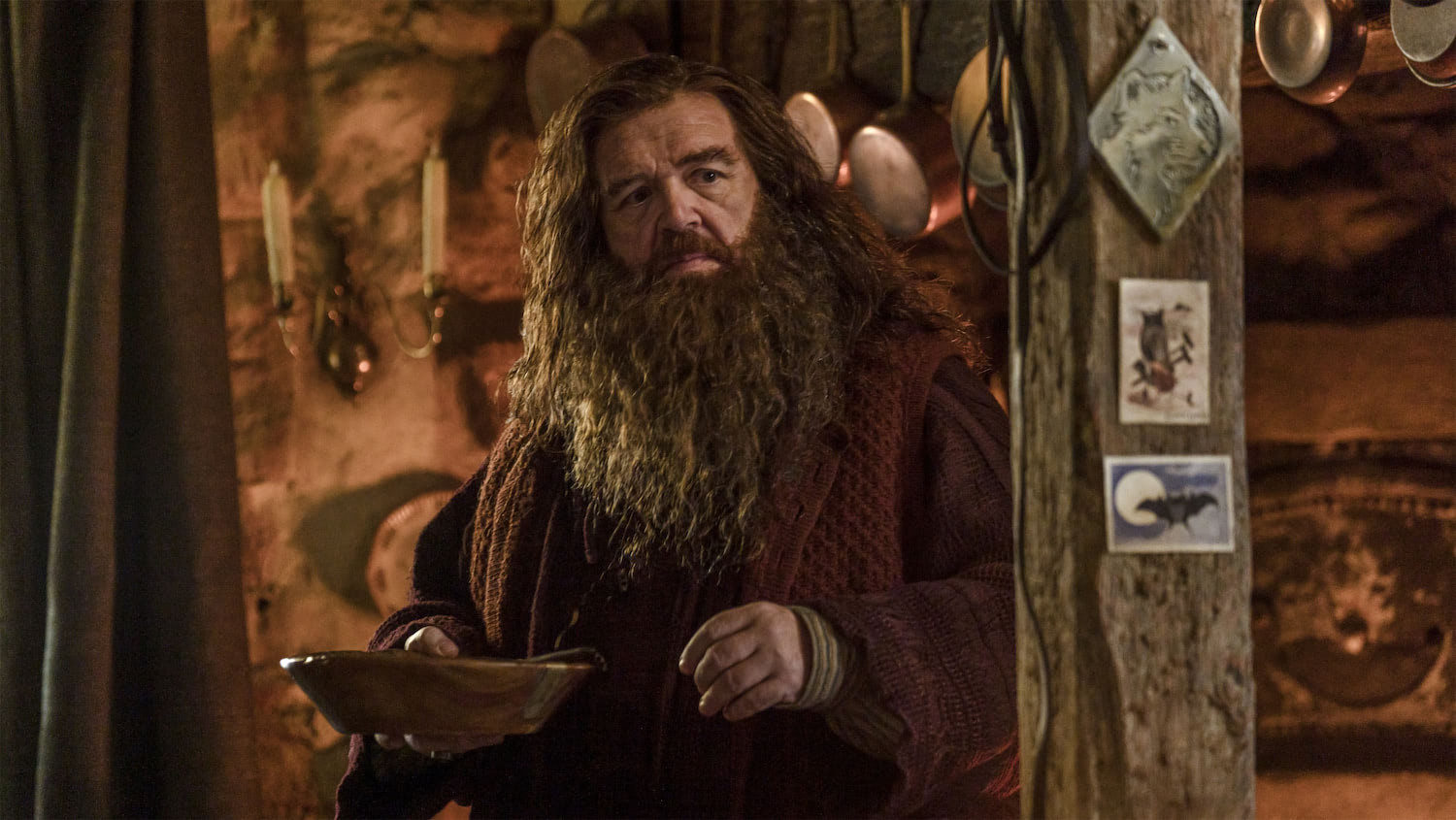 Hagrid in his hut