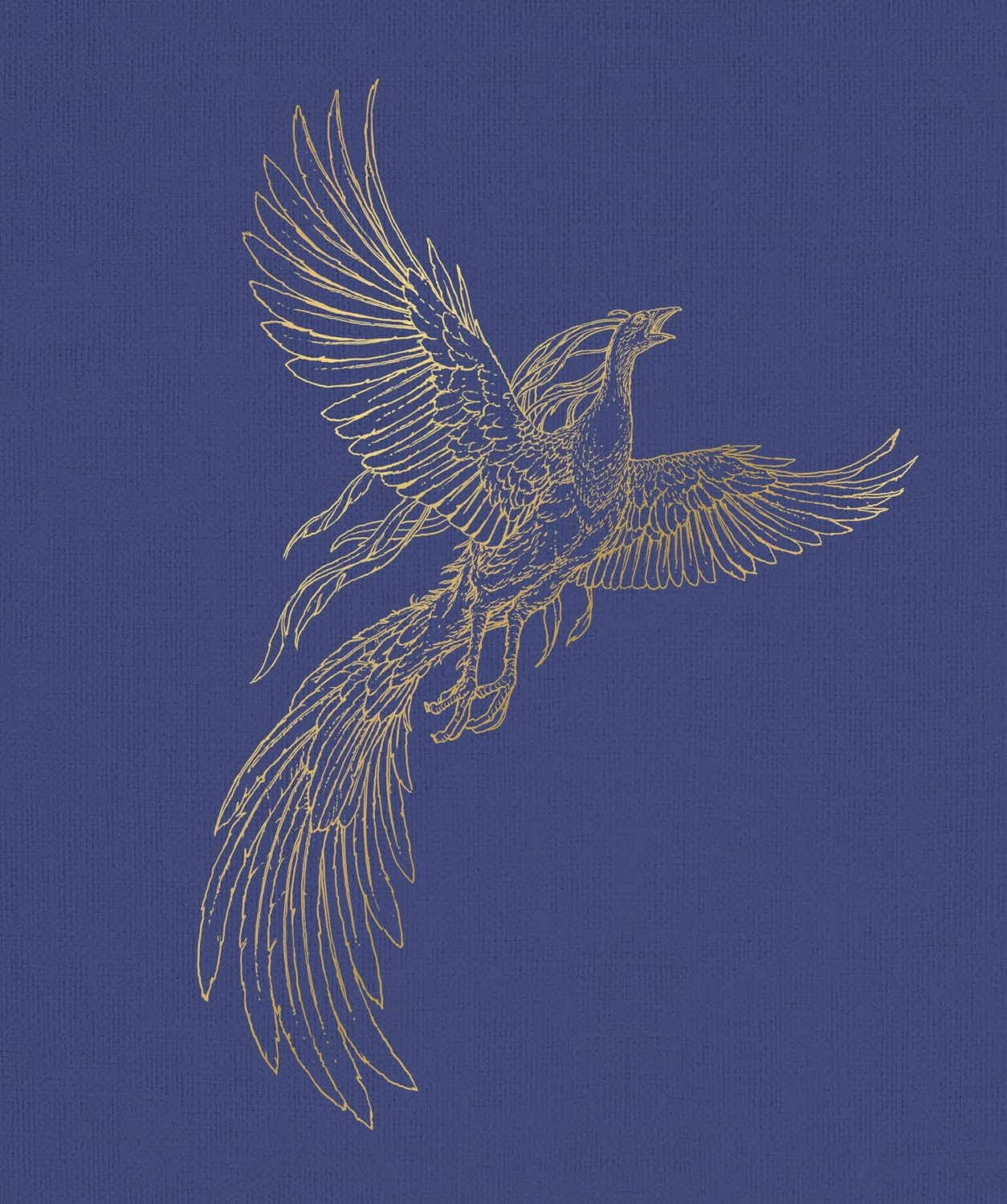 ‘Half-Blood Prince’ illustrated edition (deluxe)