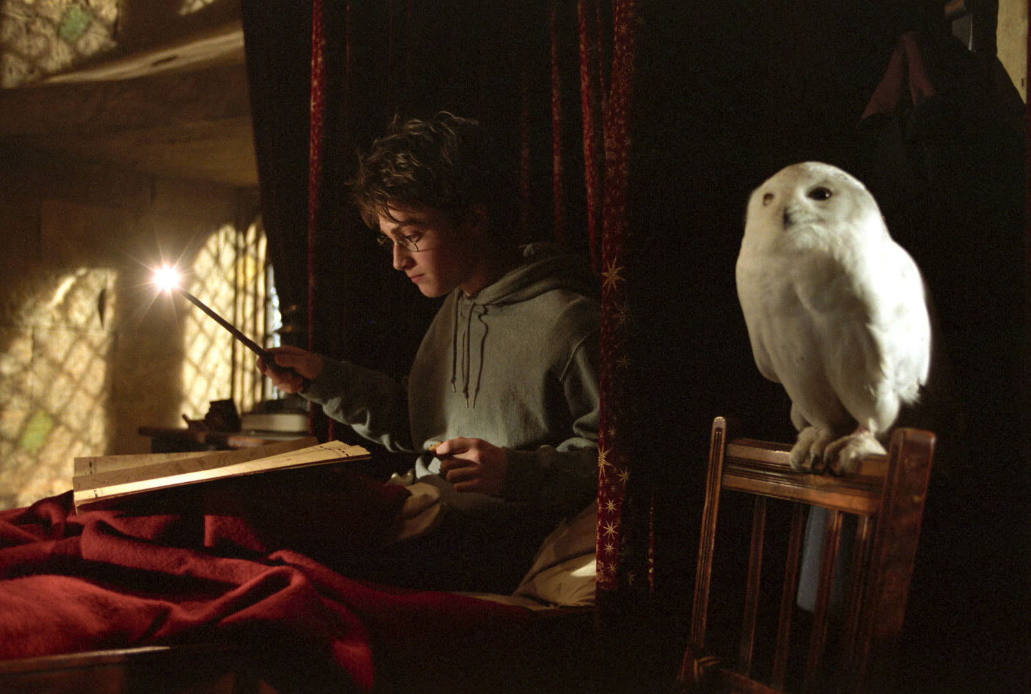 Harry and Hedwig in bed