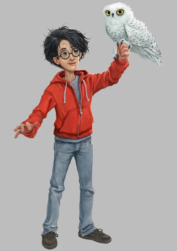 Harry and Hedwig (Jonny Duddle illustration)