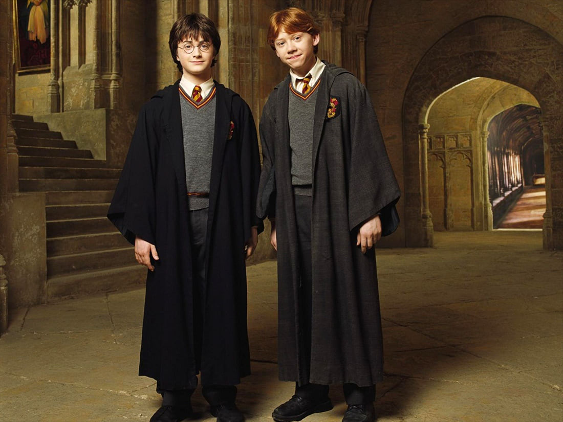 Portrait of Harry Potter and Ron Weasley