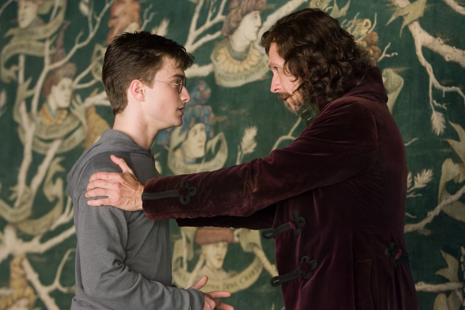 Harry and Sirius at Grimmauld Place