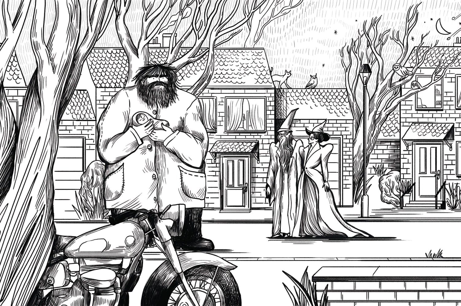 Harry arrives at Privet Drive (Czech 25th anniversary edition)