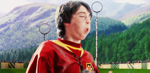 Harry catches his first Golden Snitch