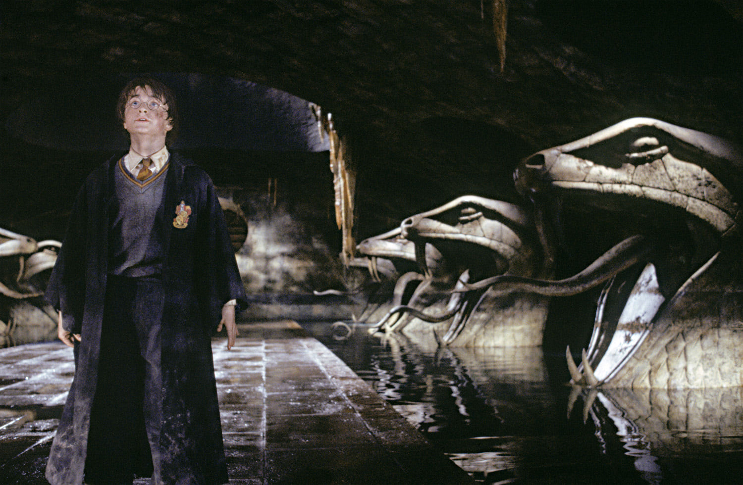 Harry enters the Chamber of Secrets