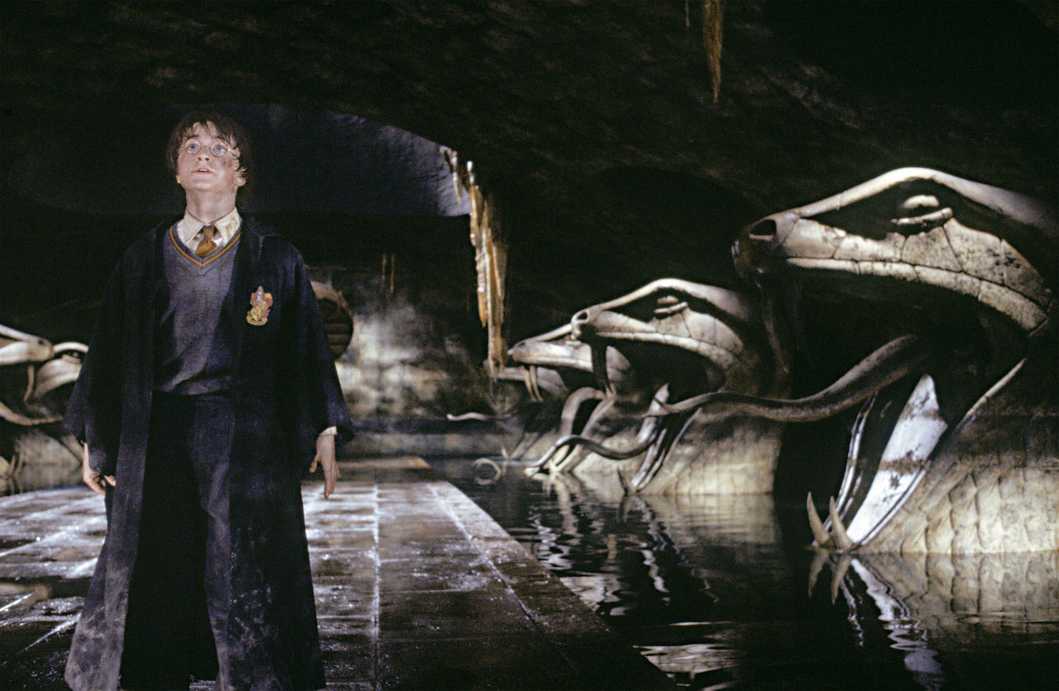 Harry Potter and the Chamber of Secrets free instals