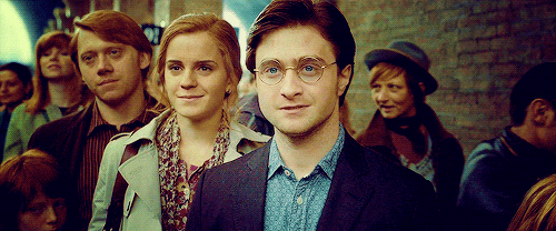 Harry, Hermione and Ron during the ‘Deathly Hallows’ epilogue