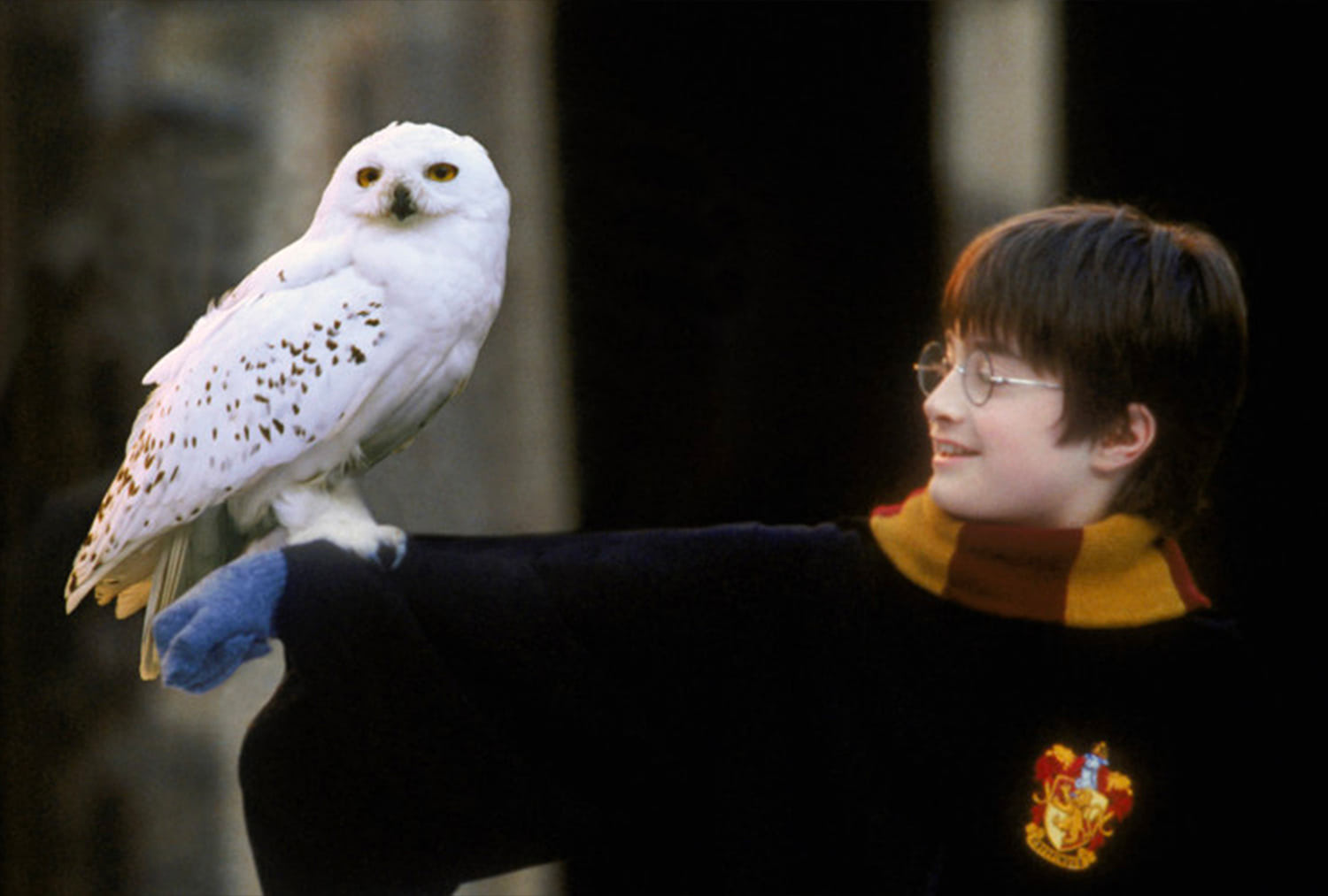 Harry holds Hedwig