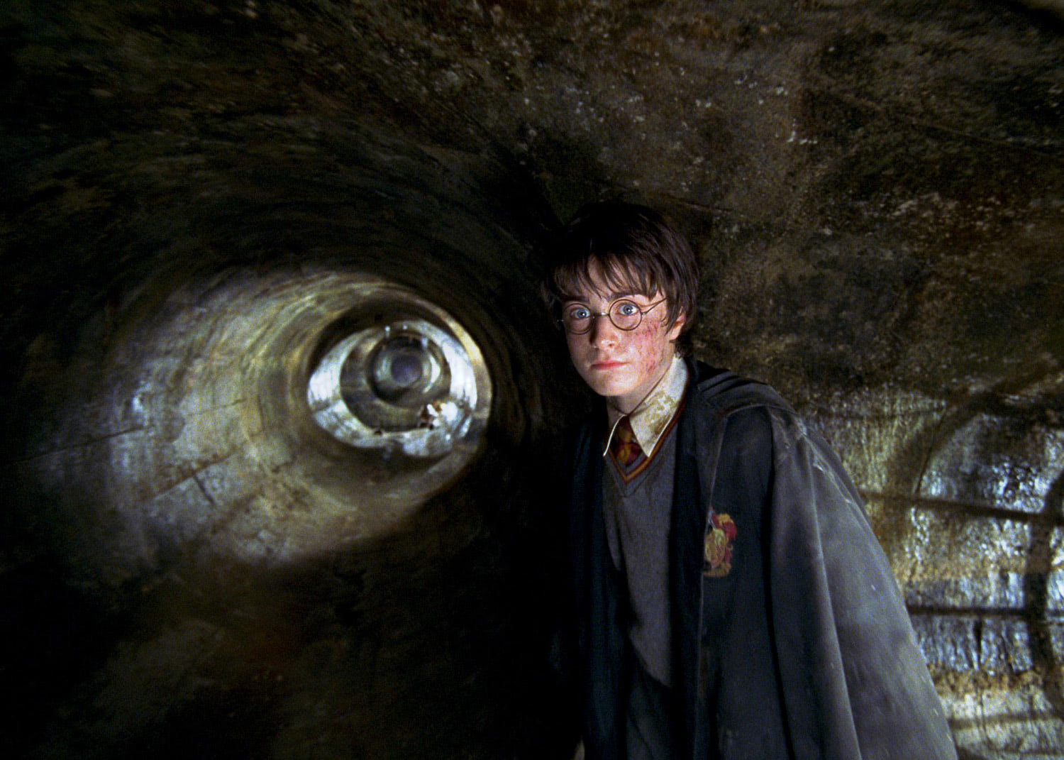 Harry in the Chamber of Secrets