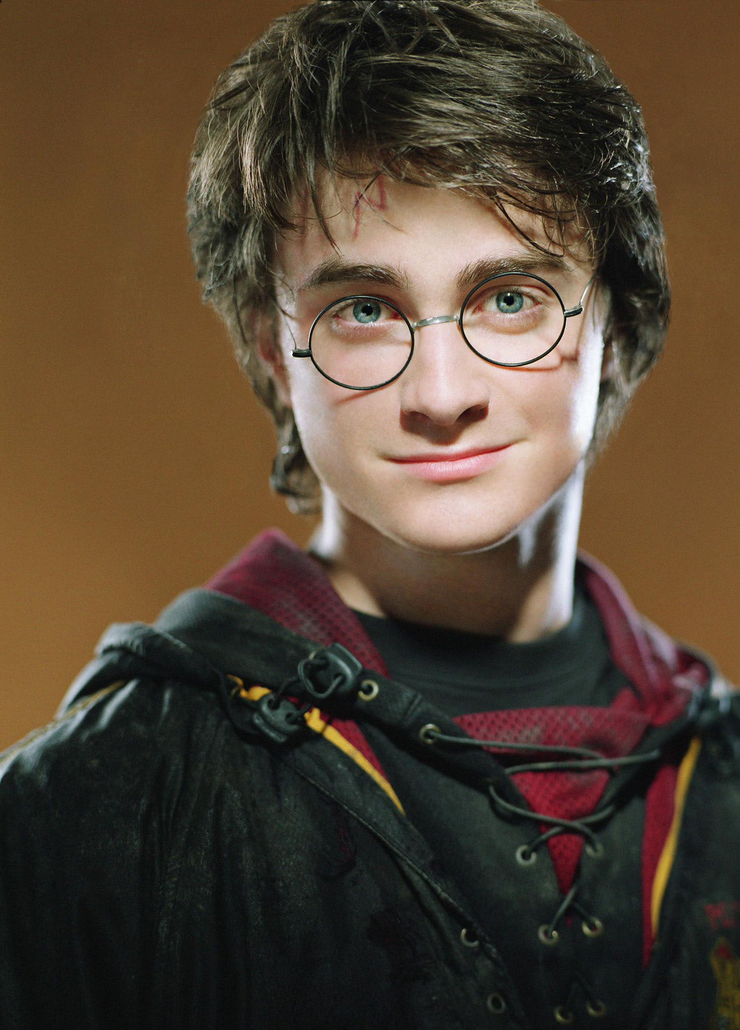Portrait of Harry Potter in his First Task robes