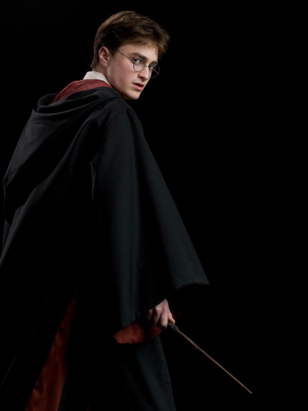 Portrait of Harry Potter — Harry Potter Fan Zone