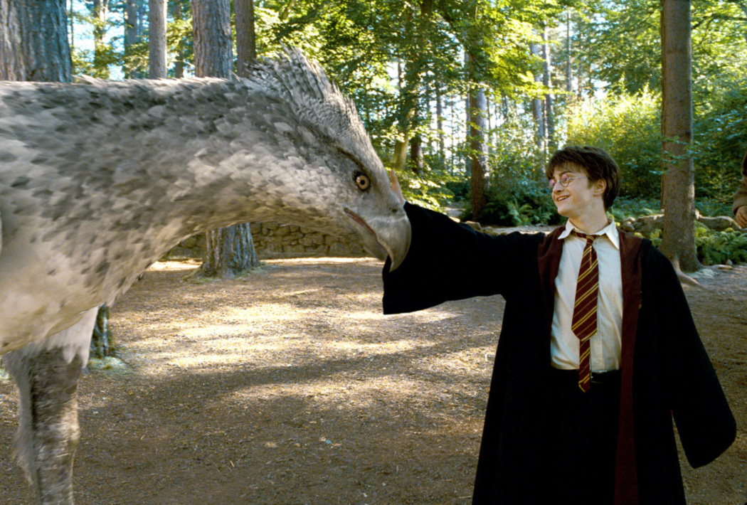 Harry Approaches Buckbeak — Harry Potter Fan Zone