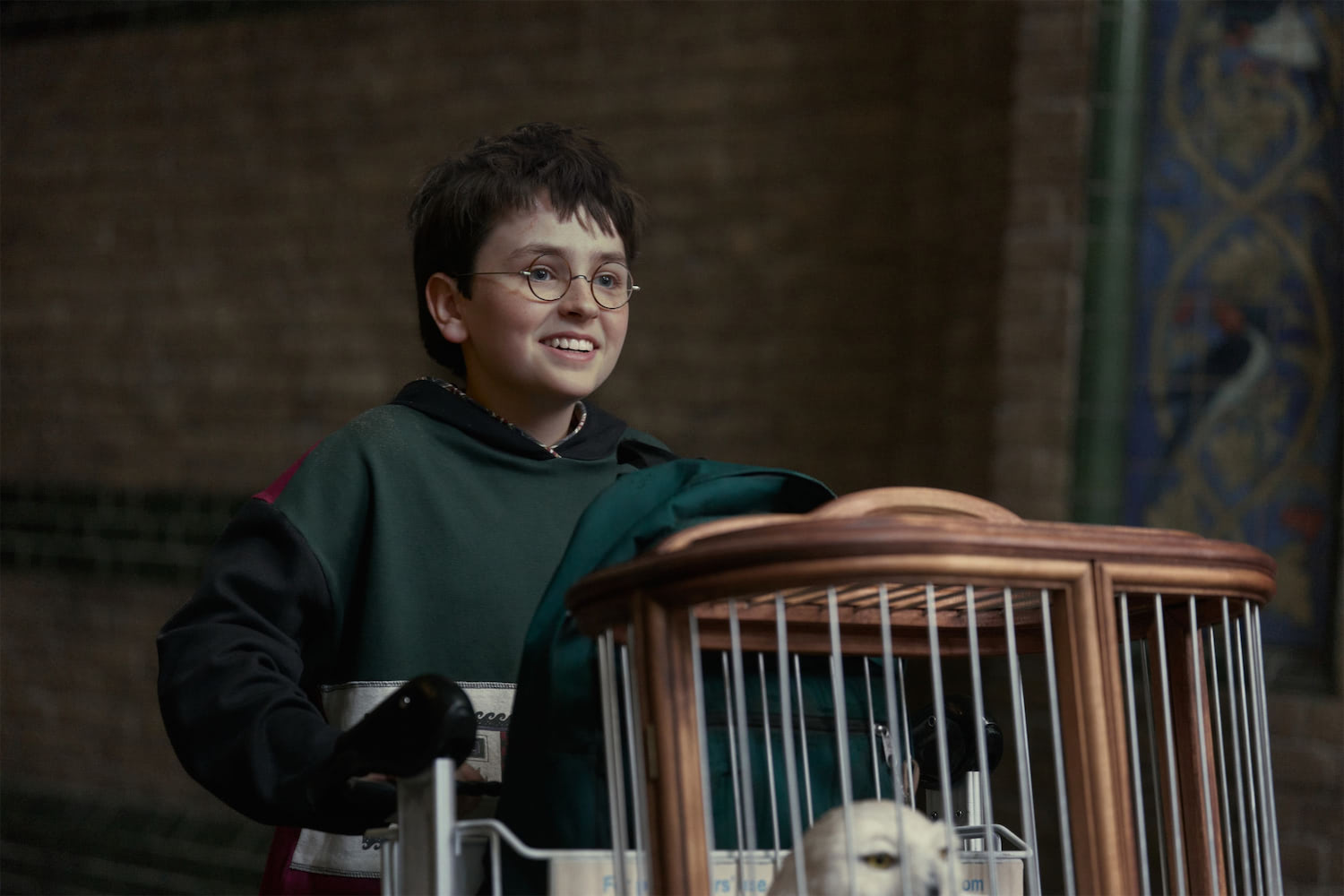Harry with Hedwig