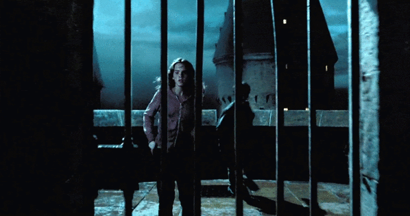 Hermione and Harry rescue Sirius