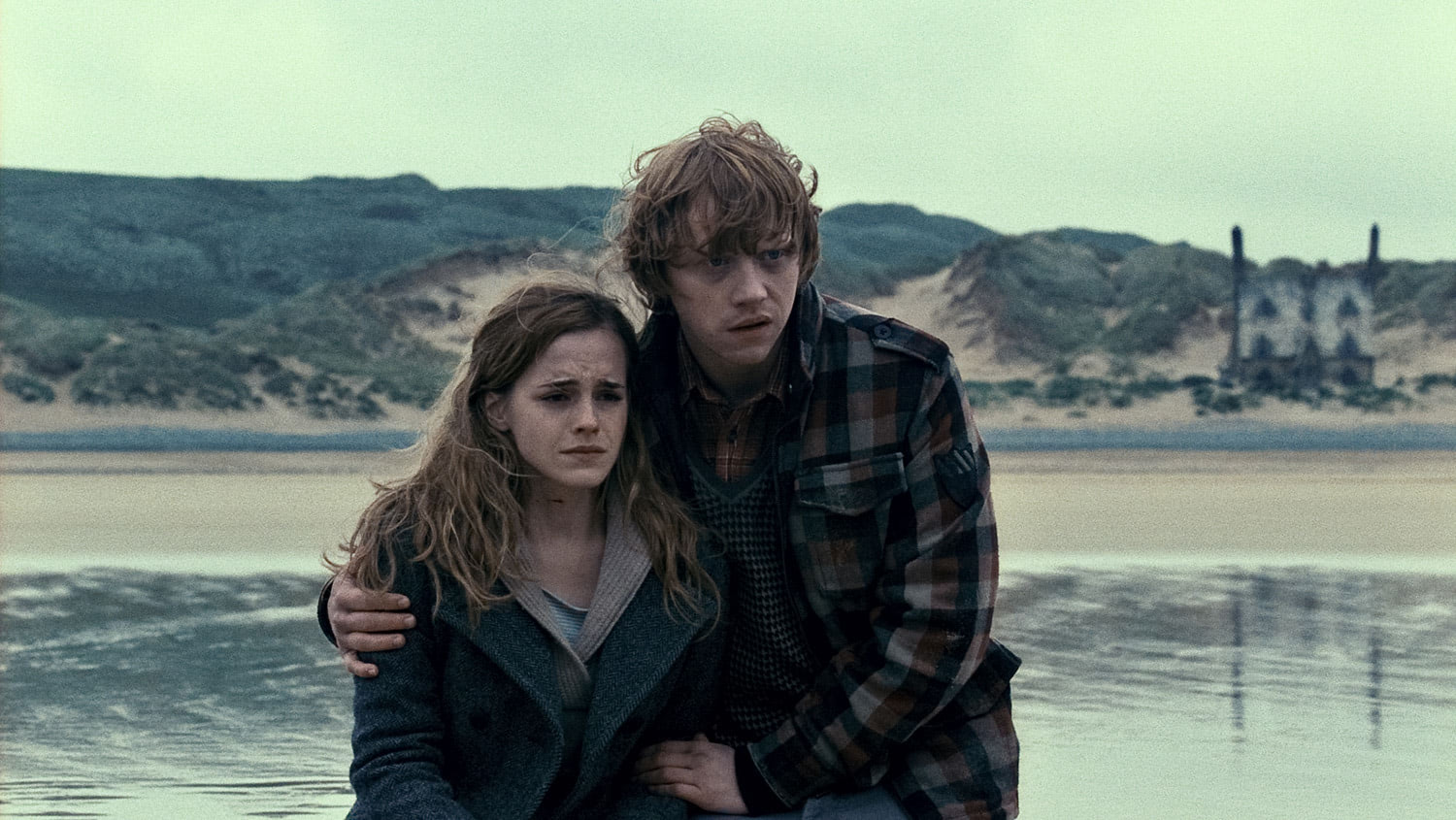 Hermione and Ron at Shell Cottage