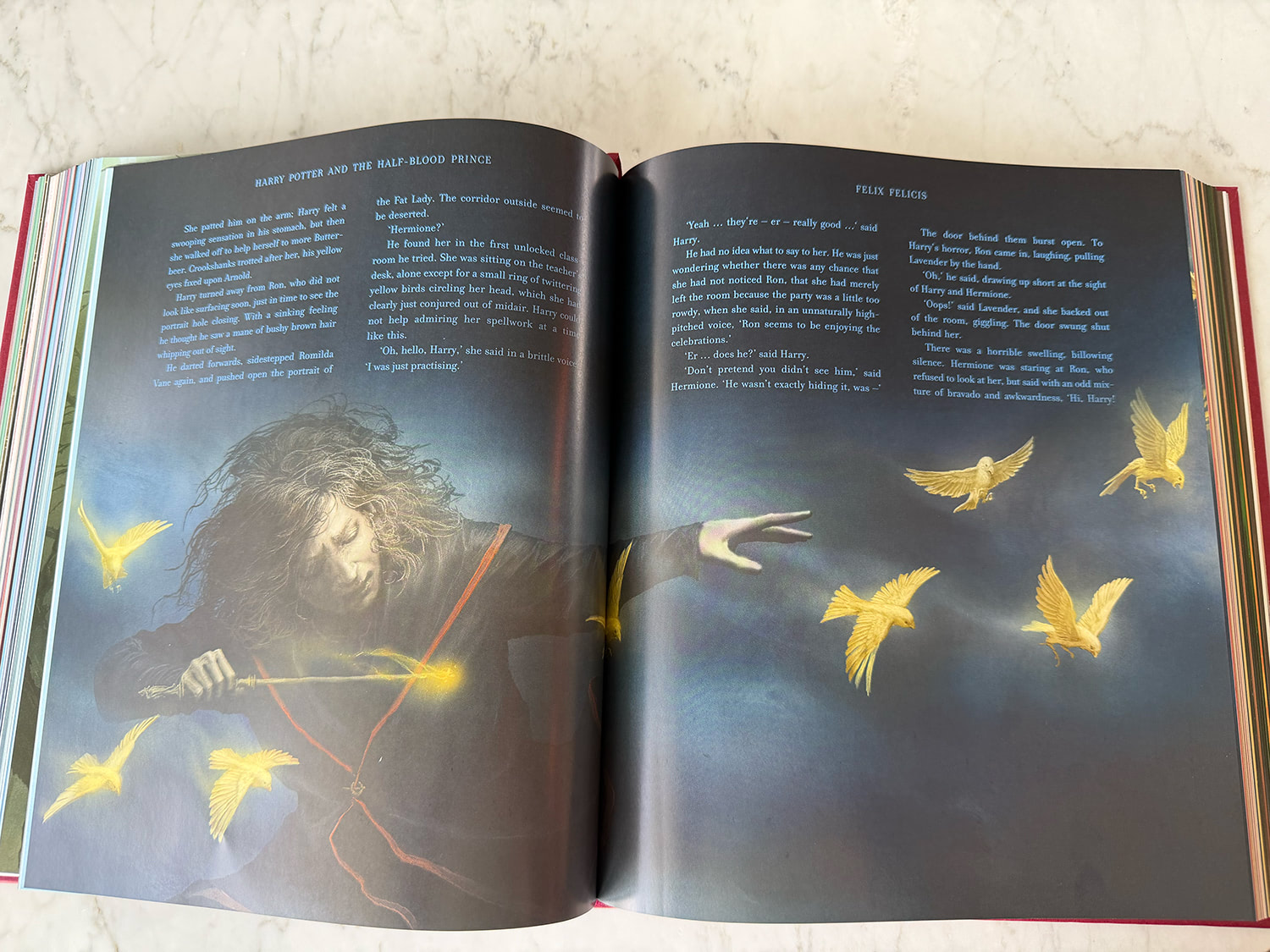 Hermione attacks Ron with birds