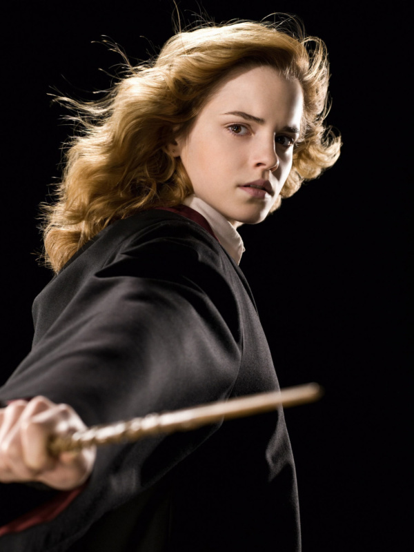 Portrait of Hermione Granger — Harry Potter Fan Zone