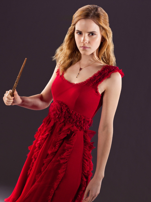 Hermione Granger Wedding Portrait — Harry Potter Fan Zone