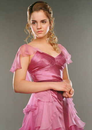 Hermione Granger Yule Ball Portrait Harry Potter Fan Zone