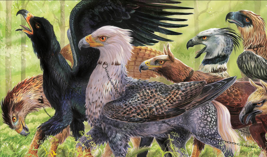 Hippogriffs