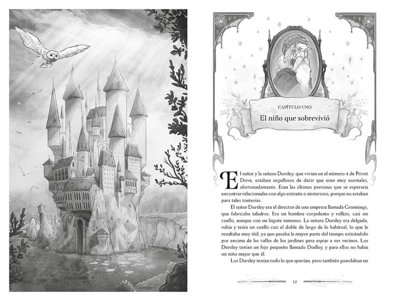 Hogwarts Castle (Spanish illustrated edition)