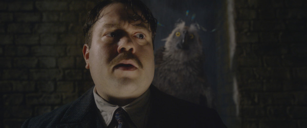 Augurey Riddle Augurey — Harry Potter Fan Zone
