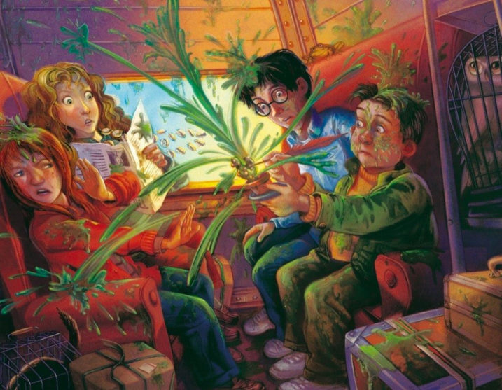 Mary GrandPré’s ‘Harry Potter’ artwork — Harry Potter Fan Zone