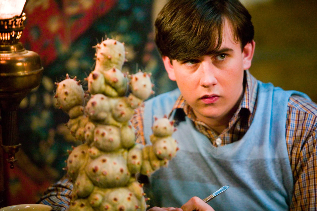 Neville with the Mimbulus mimbletonia — Harry Potter Fan Zone