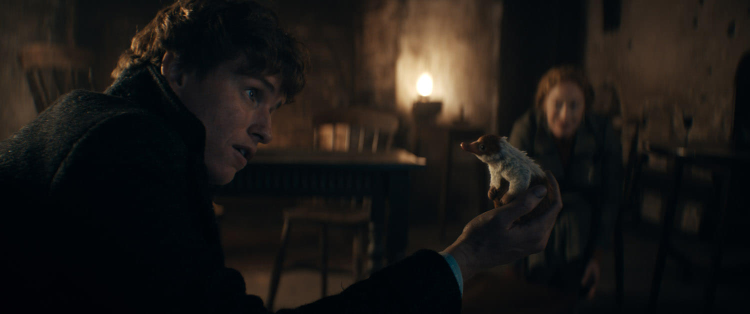 Newt and a Baby Niffler