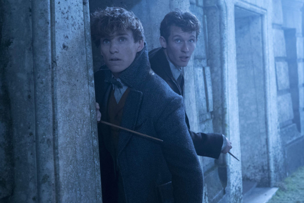 Newt and Theseus Scamander — Harry Potter Fan Zone