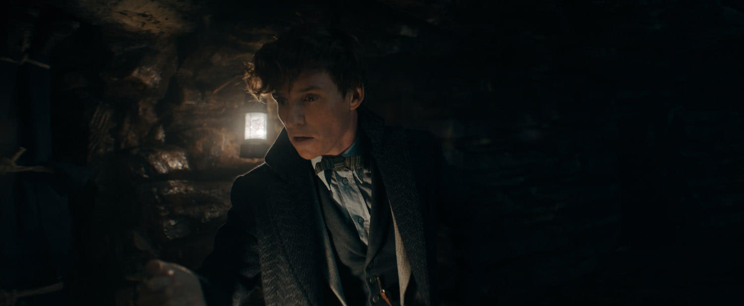 Newt in a cave