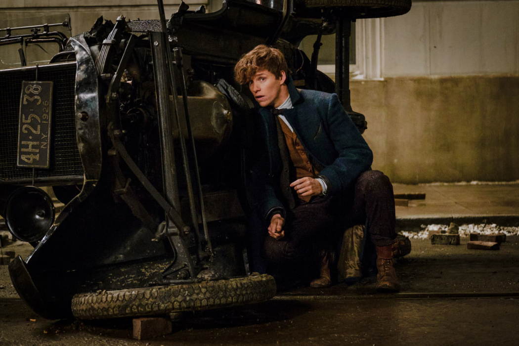 Newt Scamander — Harry Potter Fan Zone