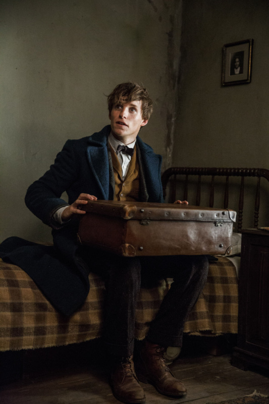 Newt Scamander — Harry Potter Fan Zone
