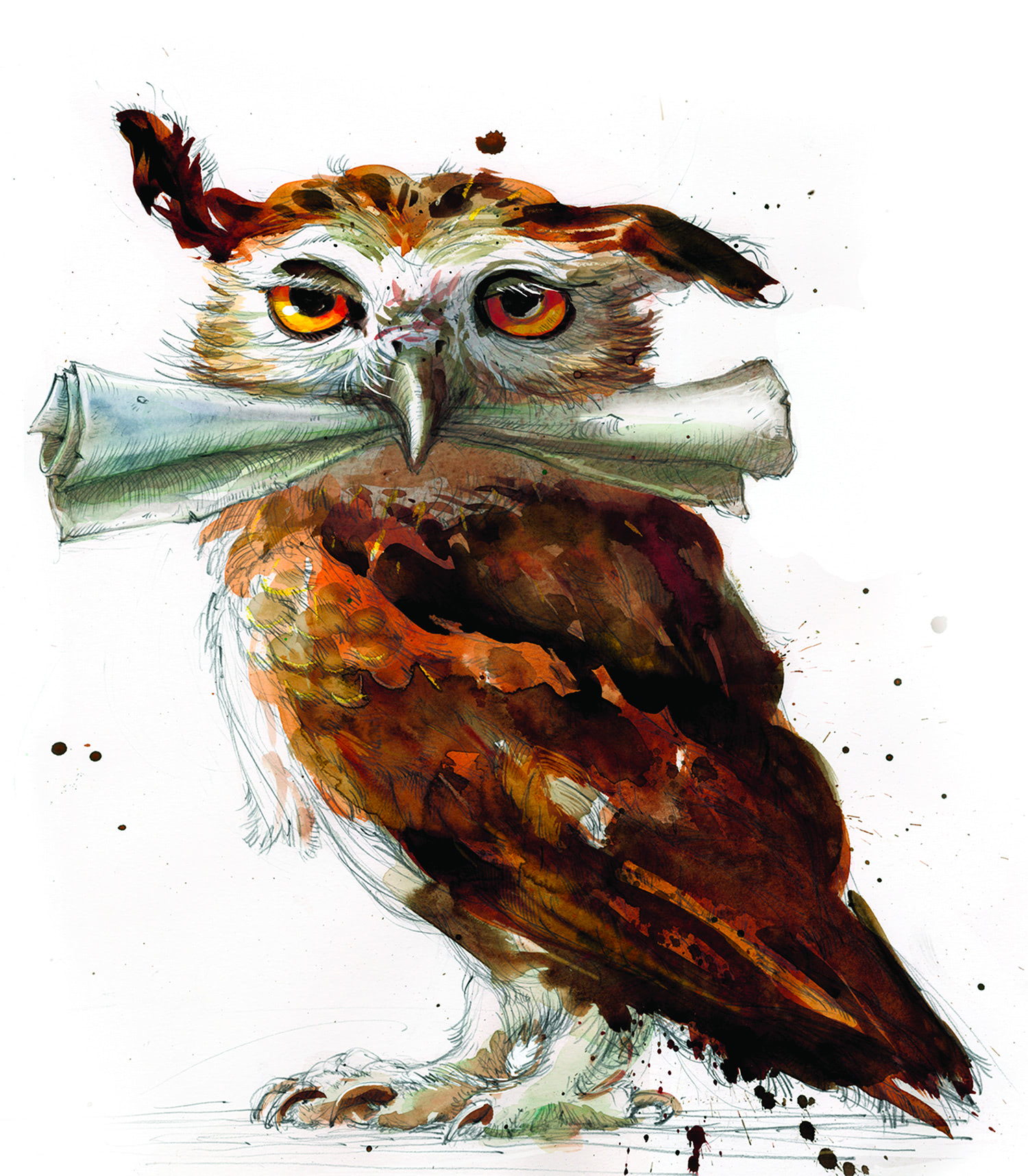 Owl Mail Harry Potter Fan Zone