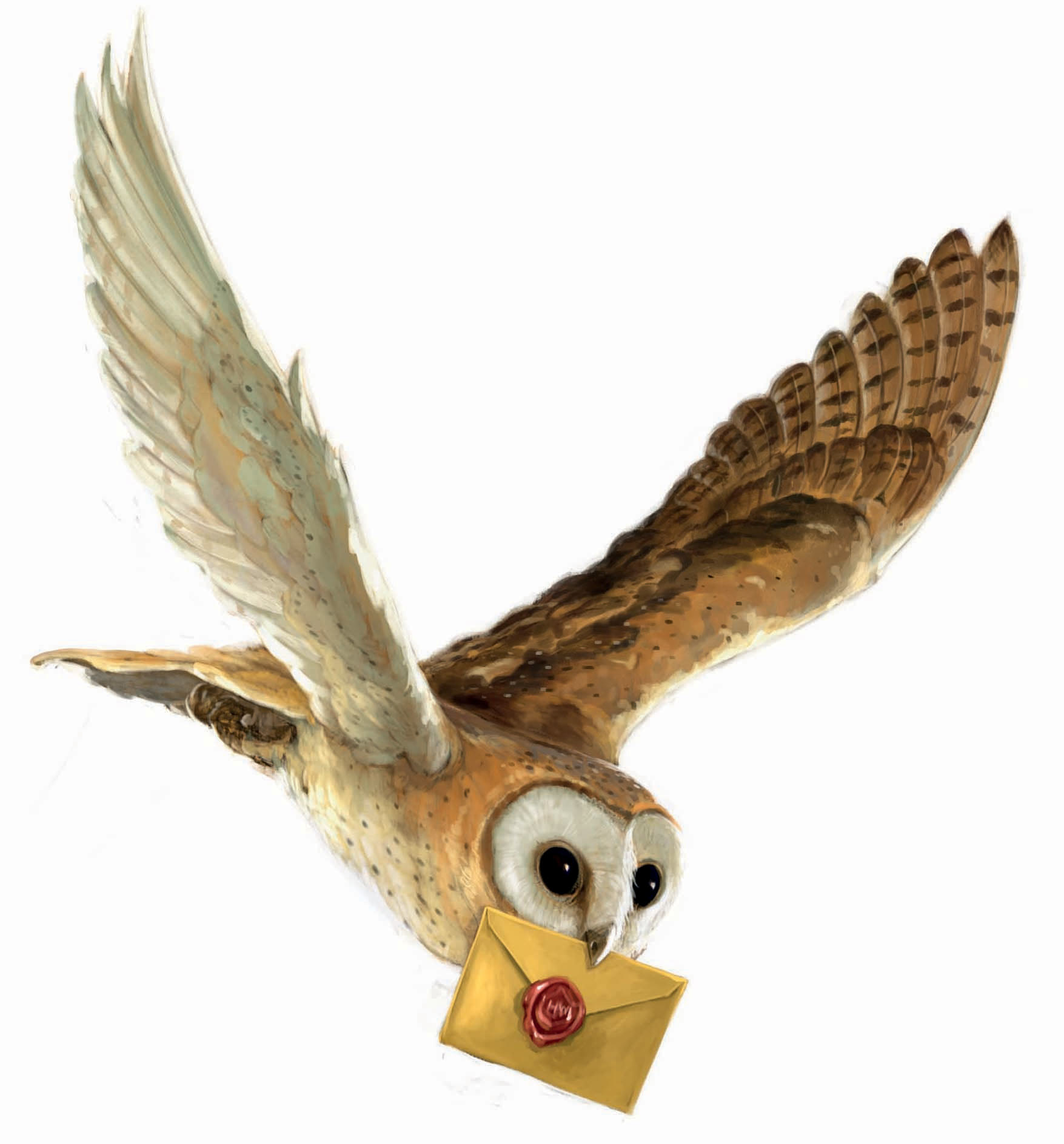 Owl Post (Jonny Duddle illustration)