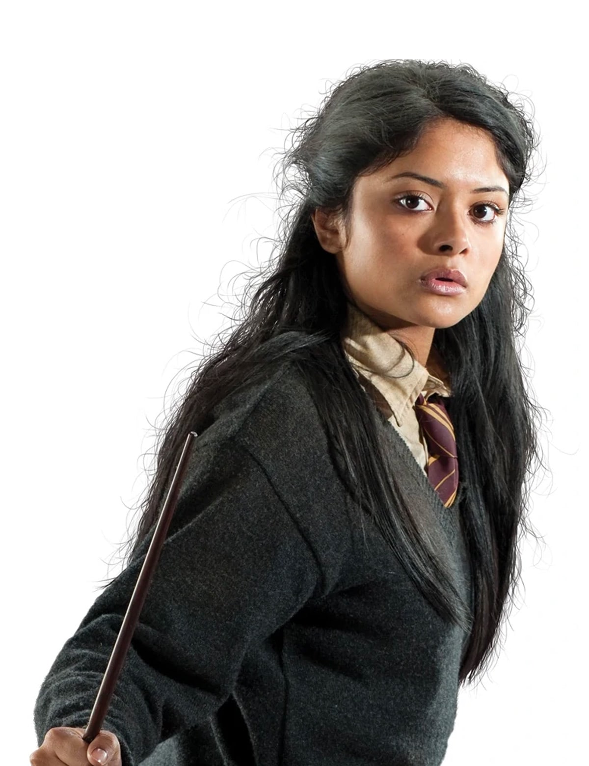 Portrait of Padma Patil